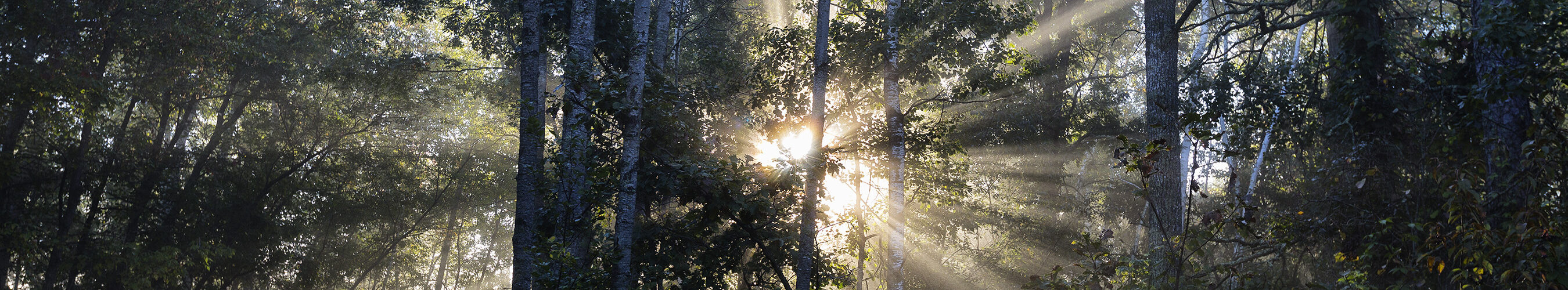 Wellness Matters Health in Park Rapids, MN